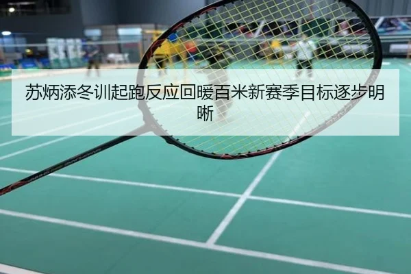 苏炳添冬训起跑反应回暖百米新赛季目标逐步明晰
