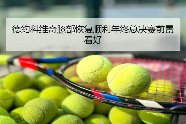 德约科维奇膝部恢复顺利年终总决赛前景看好